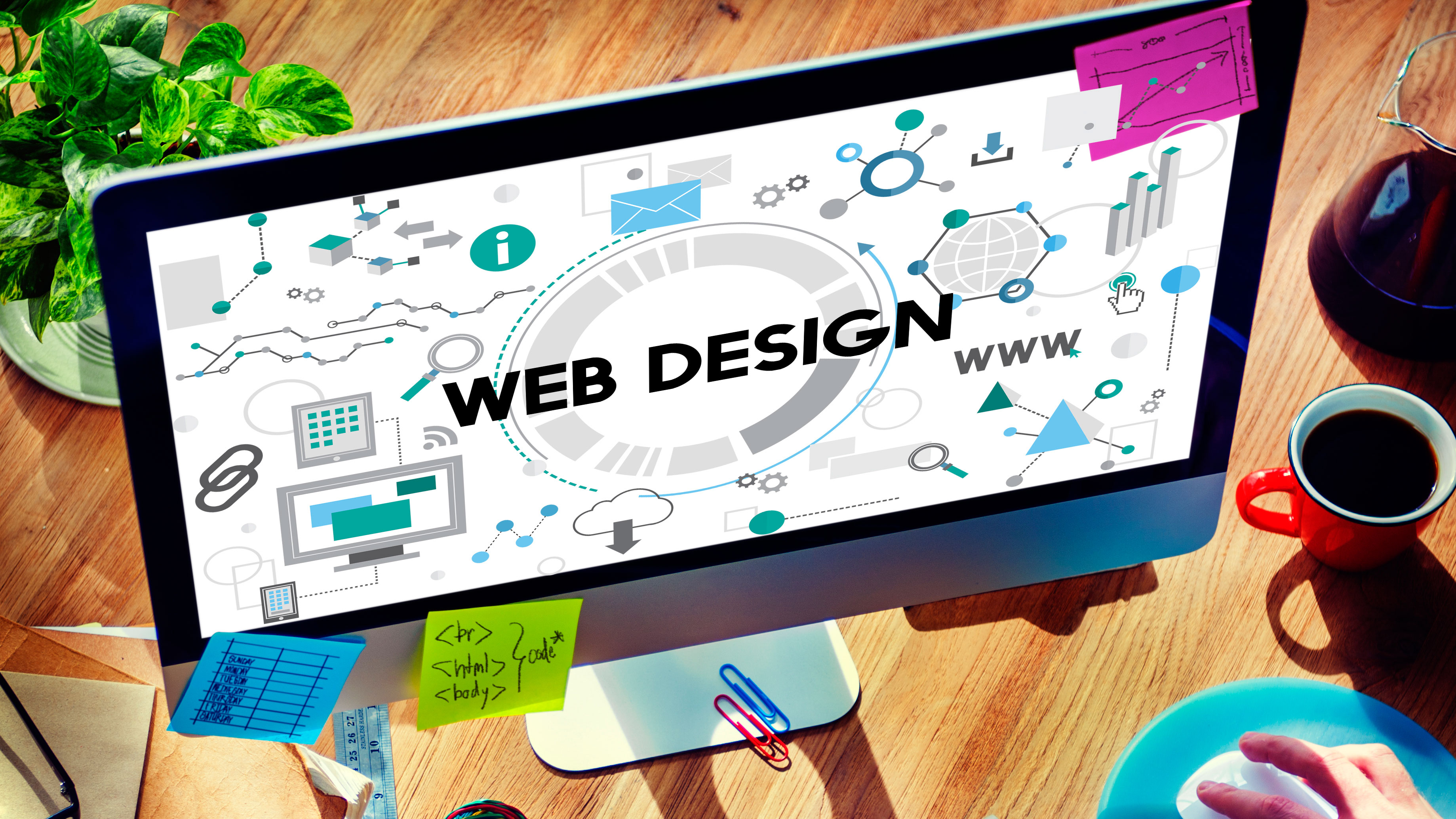 Which is the Best Web Development Company in Delhi-Web Players Technology