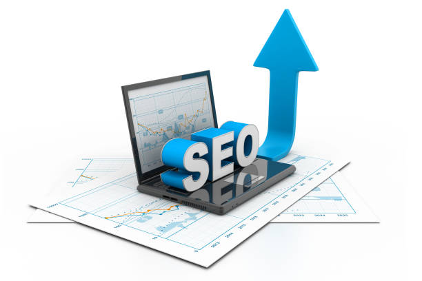 Search Engine Optimisation Company in Delhi Boost Rankings Organic Traffic