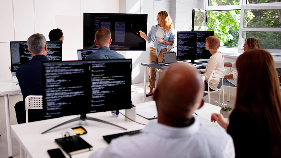 Best Website Development Company in Hamilton, New Zealand Web Players Technology